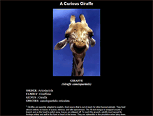 Tablet Screenshot of giraffes.org